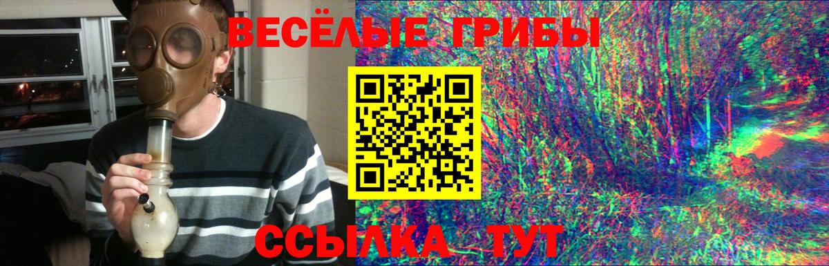Алапаевск  Псилоцибиновые грибы мицелий  Вход с VPN 