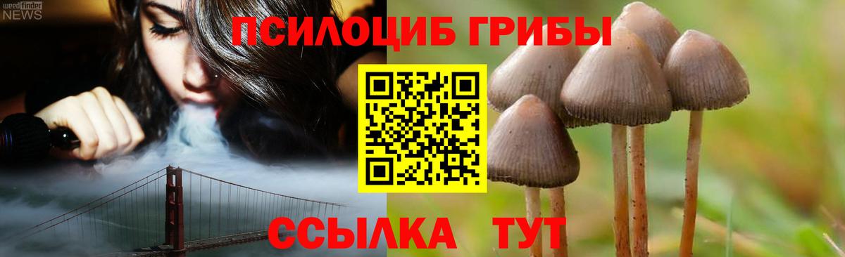 Галлюциногенные грибы Psilocybine cubensis Алапаевск
